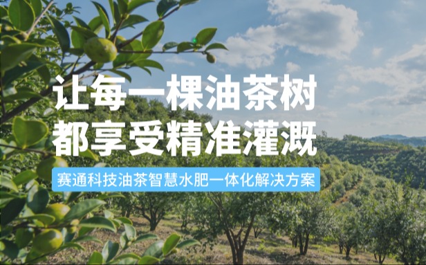 赛通科技油茶Ebpay(中国)水肥一体化解决方案：让每一棵油茶树都享受精准灌溉